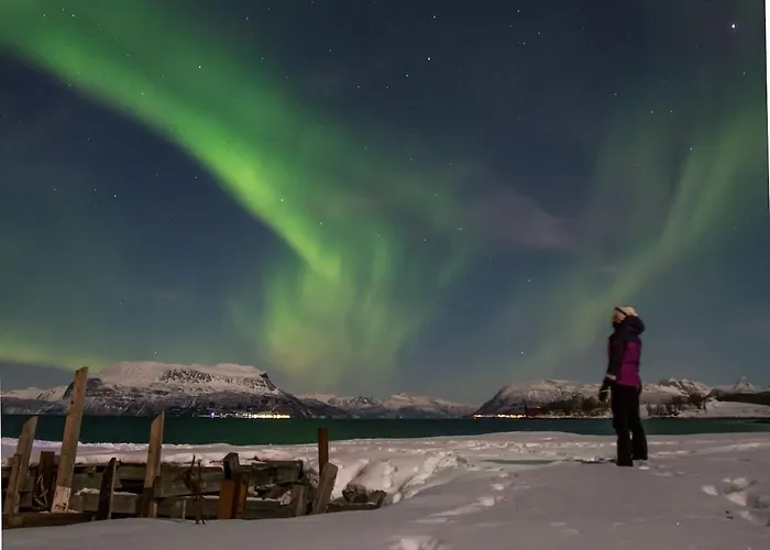 Nostalgiske Halsebostua Casa vacanze Harstad