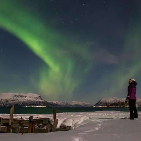 Nostalgiske Halsebostua بيت للعطل هارستاد